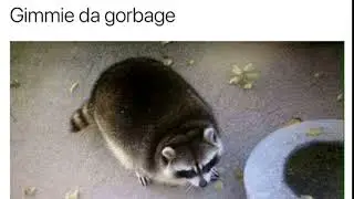 GIMME DA GORBAGE