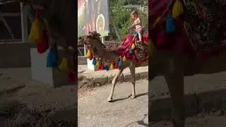 Turkey, Alanya Mercedes #mercedes #camel #holidays #turkey #turcja #live #azja