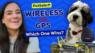 Wireless or GPS Dog Fence: Which System Is Right for You?