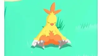 Sleep Session 902 - Is it starter pokemon week?