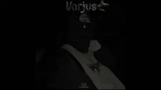 Variseb