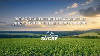 Le r&ecirc;ve d'une betterave (version int&eacute;grale)