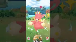 When I Got New✨️Shiny Pawmot in #pokemongo #shorts