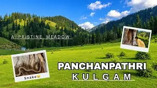 Panchanpathri Kulgam🏕️|A dream place in kulgam🔥|Snake in forests of Kashmir|f.t@peer_mehandi_outfits