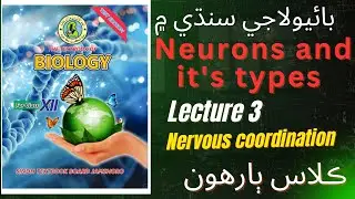 Inter Biology in Sindhi||structure of Neurons||Types of Neurons||Pathways of Message to CNS|#biology