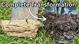 How I Revived My Heavy Clay Garden Soil! *Plus a $100 Giveaway!*