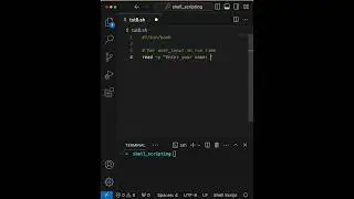 Read user input -  #shell #coding #automation