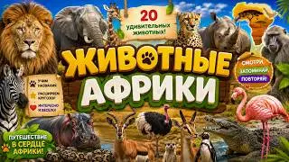 Животные Африки 🦁🐘🦓 | Видео карточки Домана и логопедические карточки для малышей 👶
