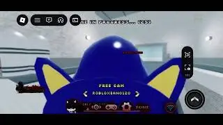 Roblox: Sonic.EXE: The Disaster MODDED 2026: hacker
