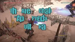 The Arena 