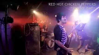 2026/1/4 RED HOT CHICKEN PEPPERS.「TELL ME BABY」@京都AFTERBEAT