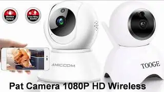 Best Security Pet Camera 2020