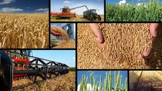 Loknete Agriculture Documentary Film | Motion Film Studio