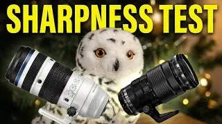 50-200mm or 40-150mm? OM SYSTEM Sharpness Test with Teleconverters