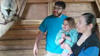 A Day at Zoo Knoxville Before the Shut Down and Feeding Camels