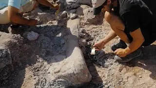 Go on a Dinosaur Dig in Utah's Emery County