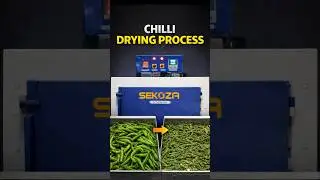 Automatic Chilli Drying Machine | Sekoza Dryer in Action