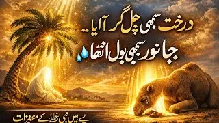 Hazrat Muhammed ﷺ Ke Mojzat | पैगंबर के चमत्कार | Miracles of Prophet | Mufti Ghulam Murtaza Farooqi