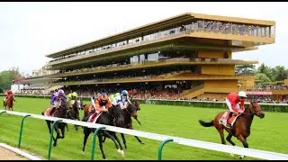 【LONGCHAMP TURF FLAT】 FRENCH HORSE RACE ANALYSIS