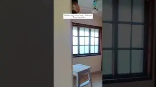 3bhk Apartment for rent! A gated community with car parking that will not fail to impress you ✨...
