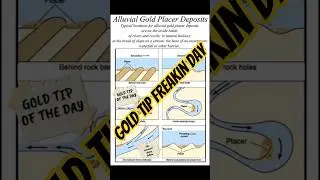 GOLD TIP OF THE DAY ✨️ #goldlife #goldprospecting #dreammat #goldpanning