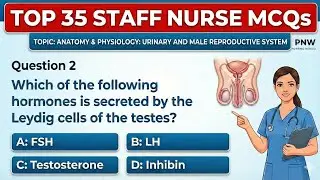 JKSSB Staff Nurse PYQ | GMC HANDWARA/UDHAMPUR | Urinary/Male Reproductive System | A&P Nursing 2026