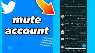 How To Mute Account On Twitter App