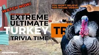 Midwest USA Wild Turkey Trivia Tube