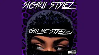 Stylez1000