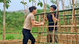 FULL VIDEOS: Cooking ant eggs, making cucumber trellis, and fencing a pond for crabs.