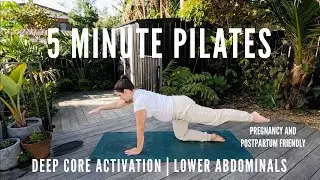 5 Minute Pilates | Lower Abdominal and Deep Core Activation | Pregnancy and Postpartum Friendly