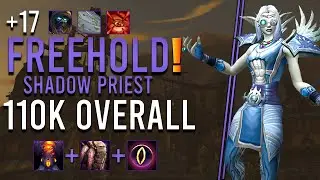 +17 Freehold Shadow Priest 110k Overall M+ | Dragonflight 10.1