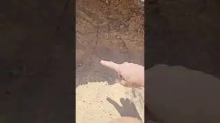 Gold from the 1850's Man made dry Creek bed ✨️ (uncut)