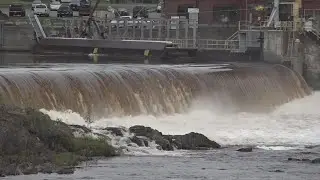 10 years later, migratory fish populations see resurgence after removal of Veazie Dam