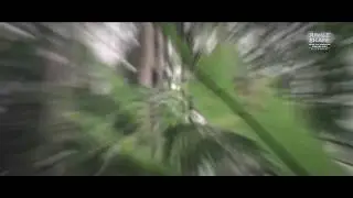 Retail Fuel Marketing Value Days PT Pertamina-Jungle Escape