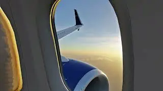 LevelUp 737NG V2 -  Jiggly Physics