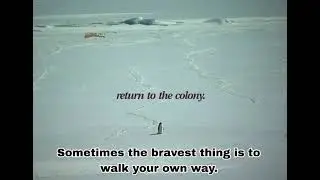 Sometimes the bravest thing is to walk in your own way.. please subscribe to our channel 💗