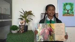 The Magic and Mystery of Trees: Kids book #trees#nature # wildlife book#conservation