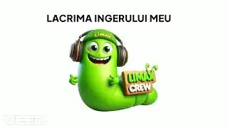 Limax Crew - Lacrima ingerului meu
