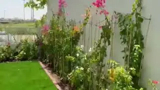 Landscaping for a Villa in Dubai Hills