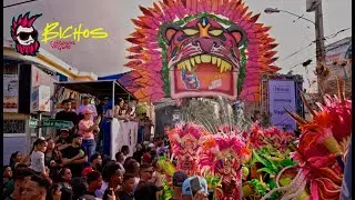CARNAVAL VEGANO 2025 PRIMER DOMINGO // BICHOS