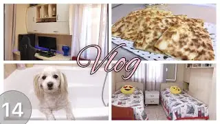 Мотивация на уборку! Имеретинские хачапури! Самая послушная собака! | Нонна будни в Греции