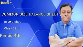 Common size balance sheet in One shot for class 12th Period 4th
