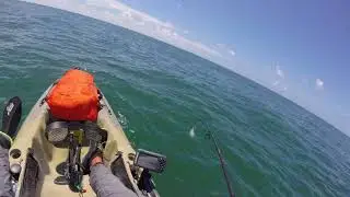 Hobie outback  shark fishing TX 2.0