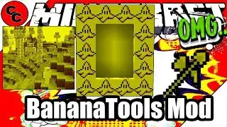 Minecraft Mods: 