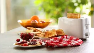 Top 5 Best Toasters You Can Buy In 2024
