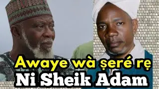 Шейх Нимони Маало рассказал о шейхе Адаме Абдулле Аль-Илори Мудире Марказе