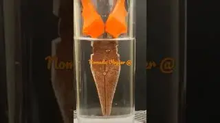 Using White Vinegar To Clean Rust - Real Demo