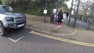 Harlesden Road & Robson Avenue Willesden North West London England Today 5th February 2025 GP034153