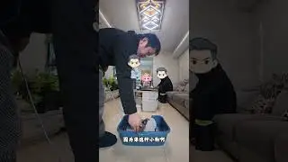 #狗狗定點上廁所 #狗狗亂拉亂尿怎麼訓 #狗狗定點大小便